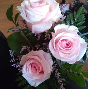 Meet your Posher, Chastity